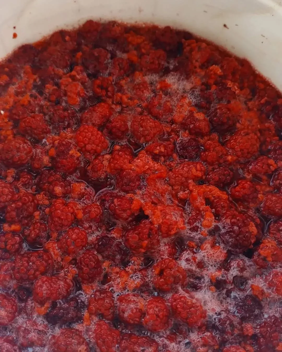 Arte de Iara Maciel Souza