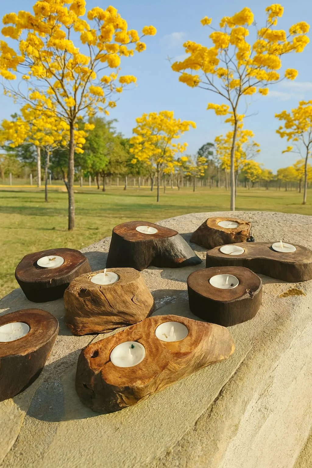 Arte de Virgínia Mischiatti